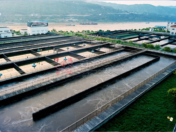 ���̰���